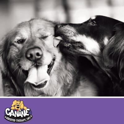 Canine Assisted Therapy