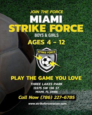 Miami Strike Force