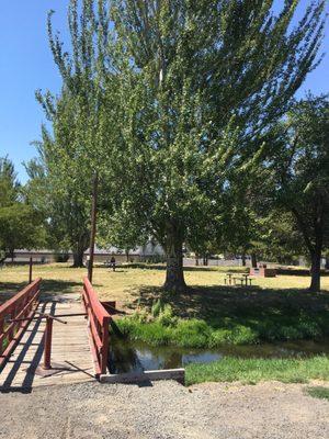 Fairground Exchange Park