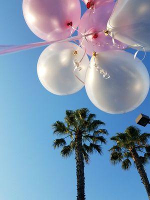 The Great Celebration Limo Bus & Events