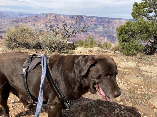 Ashley Valley Animal Hospital