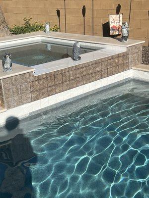 Blue Lagoon Pool Management