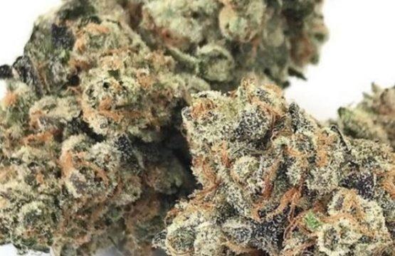 The Joint Cannabis Club Medical Marijuana Dispensary OKC