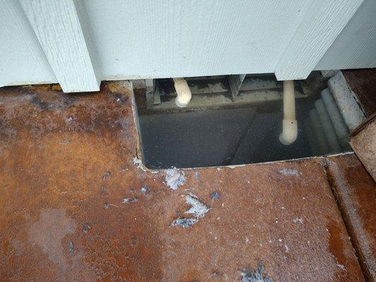 Diversified Crawl Space Services