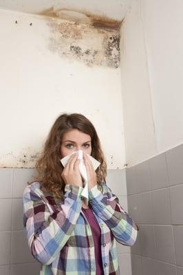 Five Boro Mold Specialist