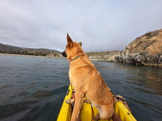 Little Harbor Kayaks