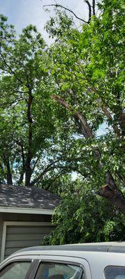 Arringtons Landscaping and Tree Trimming