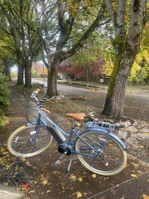 Bluejay electric bicycle