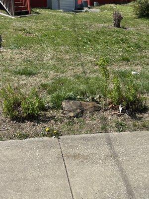 Gracie’s Property Maintence