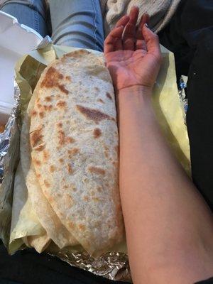 Vegetarian burrito 10/10 The Veggie Quesarito