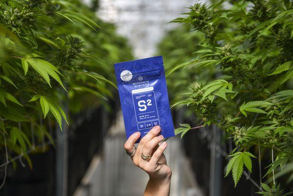 high potencey blue raspberry s2
