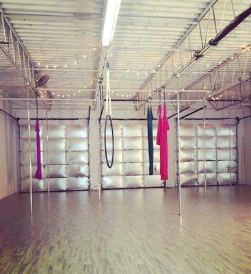 The Wild Orchid studio!