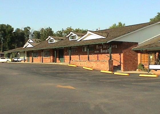 Mesa Veterinary Hospital