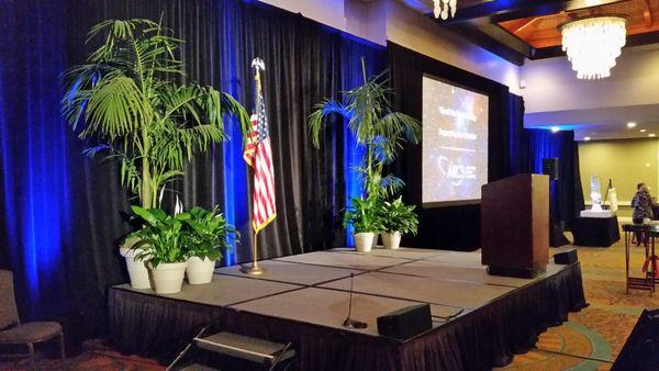 San Diego Interior Foliage