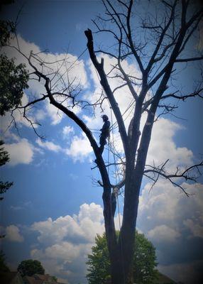 Sky Monkey Brandon Helms!