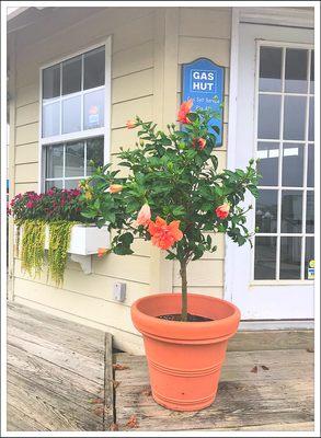 Garrett's Marina & Boat Sales