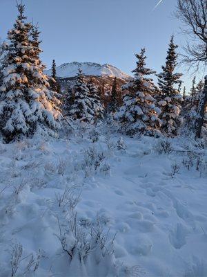 Basher Drive Trailhead