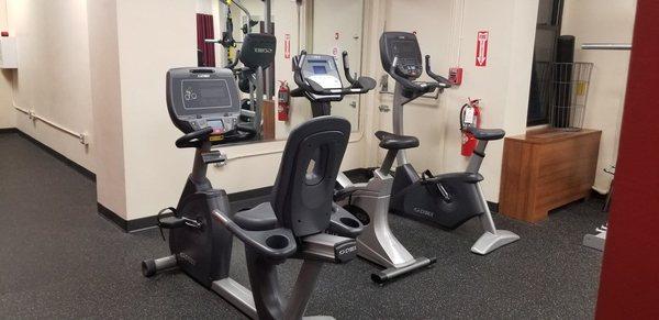 Professional Physical Therapy