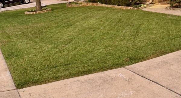 My front lawn, as mowed "my way" by Mow Manager