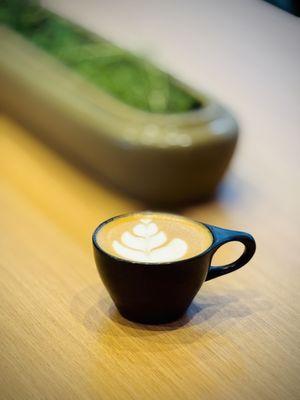 Queen City Collective Coffee