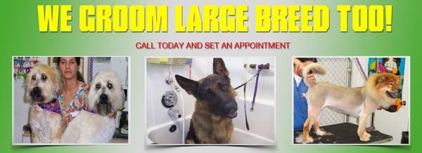 Bayshore Pet Grooming & Boarding