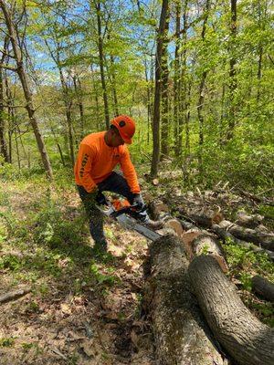 Steven’s Tree Service & Landscaping