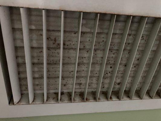 White Oak Manor bed and breakfast