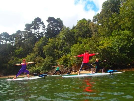 yup we provide stand up paddle yoga too! :)