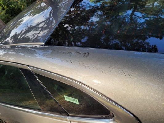 Budget Rent A Car System