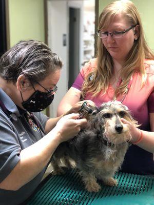 Animal Health Center