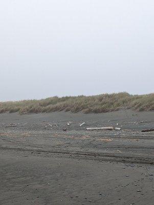 Tolowa Dunes State Park