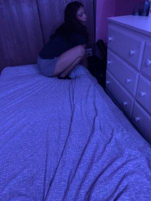 This rat was found in my room