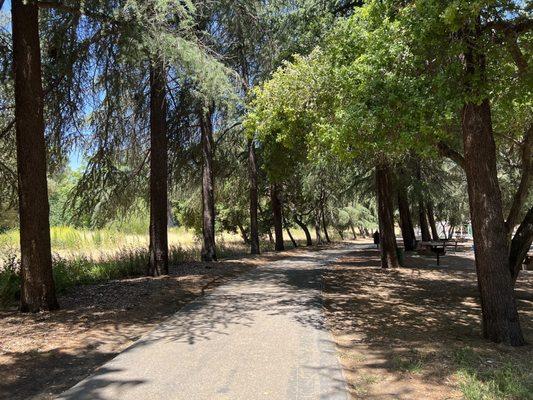 Shady trail... Edenvale Garden Park - San Jose
