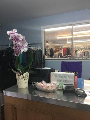 Million Dollar Cleaners