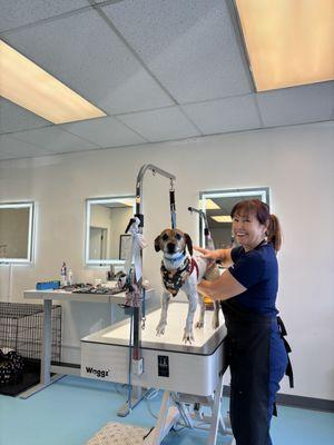 Animal House Grooming