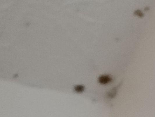 Logan's Inn Pool & Fitness Center