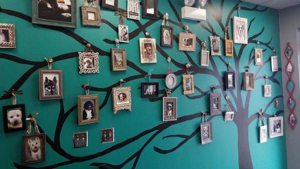 Steph's Tailwaggers Doggie Spa