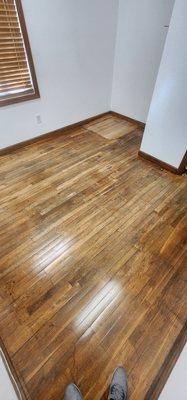 Sunshine Painting & Wallcovering