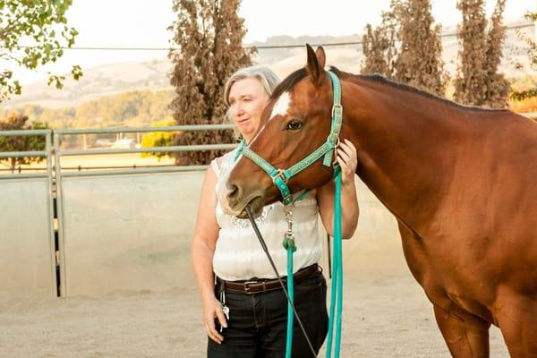 Animal Stars Dog Training