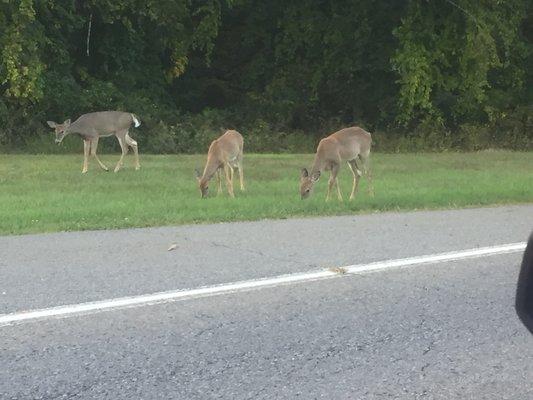 Ulster County Community College