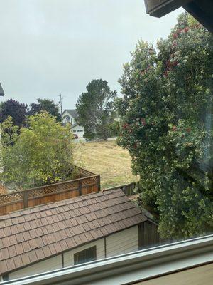 Morgan Glass and Window