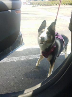 Hey doctor, I have a problem with your people, they don't want to treat my daughter, she needs her medicine and just because you didn't have