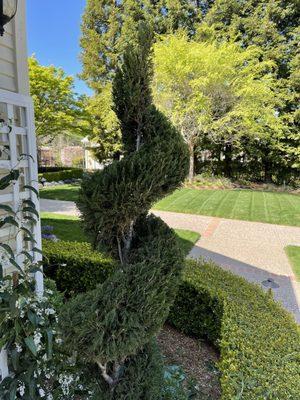 Jr Bautista landscape