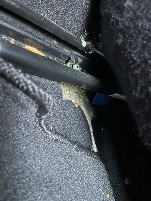 Ezdoesit Mobile Detail