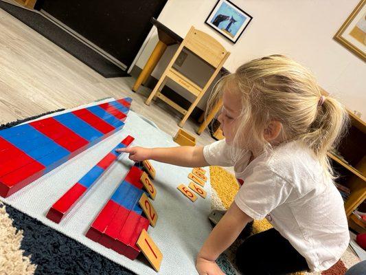 Montessori School of Novato