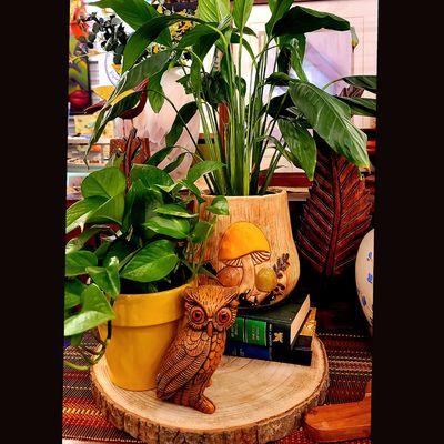 Alleycat Vintage Thrift