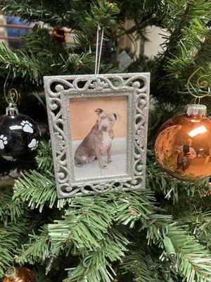 She's famous... or we come here way too often. 