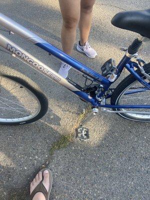 Priced at $125 for a nice bike (but 15 years old).