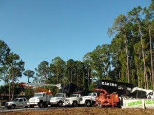 Carino Complete Lawn & Tree Services