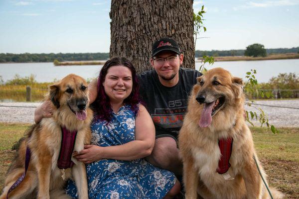 My dogs a few days after grooming.
